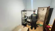 Polícia Federal prende suspeito de abuso sexual infantil em São José dos Campos
