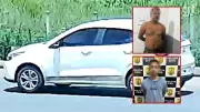 Polícia prende PM e jovem por integrar quadrilha de roubo de carros em Miranda do Norte