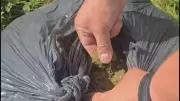 Policiais prendem jovem traficante após garis acharem 30 kg de maconha em lixo no DF