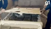 PRF apreende mais de 1 tonelada de skunk em caminhão na BR-364 em Mato Grosso