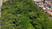 Projeto 'Cidade Esponja' em Campinas usa natureza para combater enchentes e escassez hídrica