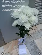 Protetora homenageia cão assassinado com flores e carta em Pará de Minas