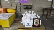 Receita Federal apreende 214 kg de cocaína em caminhão no Porto de Santos