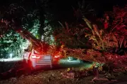 Árvore cai sobre carro estacionado em São Sebastião, SP, sem feridos