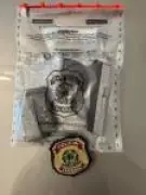 Sicário de Daniel Vorcaro tenta suicídio na carceragem da Polícia Federal em Minas Gerais