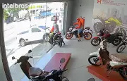 São Paulo registra um roubo ou furto de moto a cada 41 minutos em 2026