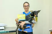 Subea retoma atendimentos gratuitos de castração para cães e gatos em Campo Grande