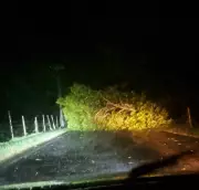 Tempestade com raios e ventos fortes derruba árvores e bloqueia estradas no Noroeste Fluminense