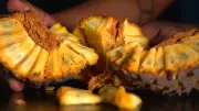 Terra da Gente explora a Festa do Marolo em Paraguaçu com receita especial