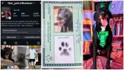 Thor: Cão abandonado que seguiu casal em São Carlos ganha RG, rede social e nova família