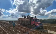 Trabalhadores resgatados em condições análogas à escravidão em fazenda de cana em Batatais, SP