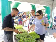 TV Rio Sul distribui quase 3 mil mudas em evento 'Muda o Mundo' em Barra Mansa