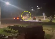 Vídeo captura atropelamento de vaca na BR-356 em São João da Barra; animal morre