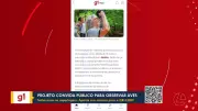 Vídeos do BDP de Terça-feira: Acidentes e Incidentes no Pará em 31 de Março de 2026