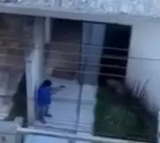 Vizinha relata medo ao gravar homem matando cachorro a tiros em Pará de Minas