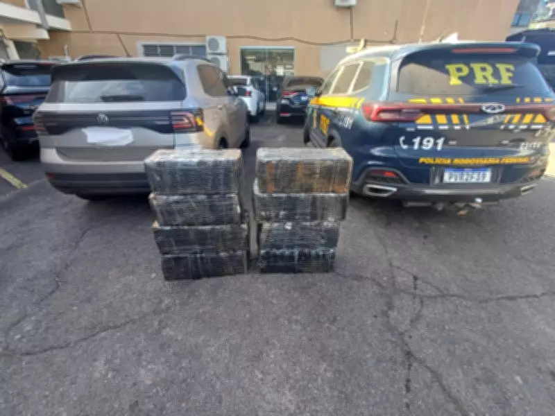 237 kg de maconha apreendidos em carro na BR-267 em Minas Gerais