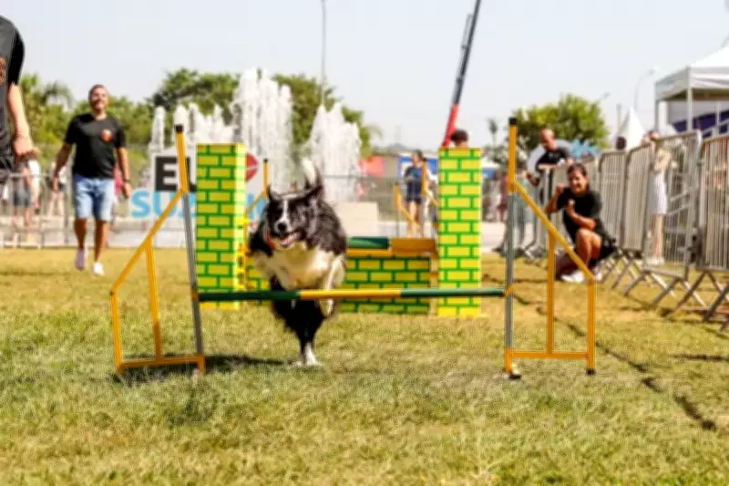 4ª edição do Festcão Suzano acontece neste domingo no Parque Max Feffer