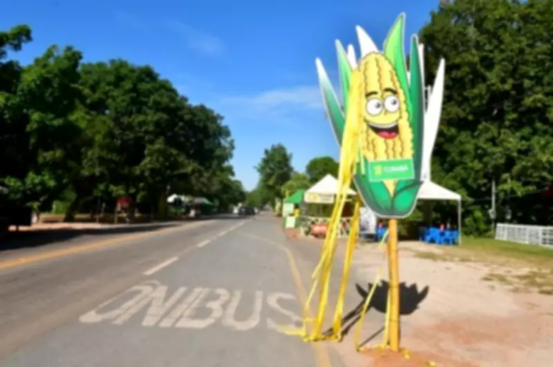 7ª edição do Festival da Pamonha em Cuiabá começa neste sábado com foco na economia local