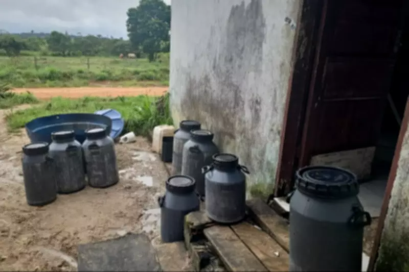 Adepará interdita três fábricas clandestinas de queijo no sudeste do Pará