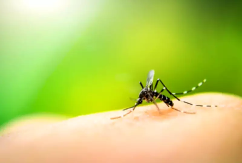 Adolescente boliviana morre com suspeita de dengue grave em Corumbá, MS
