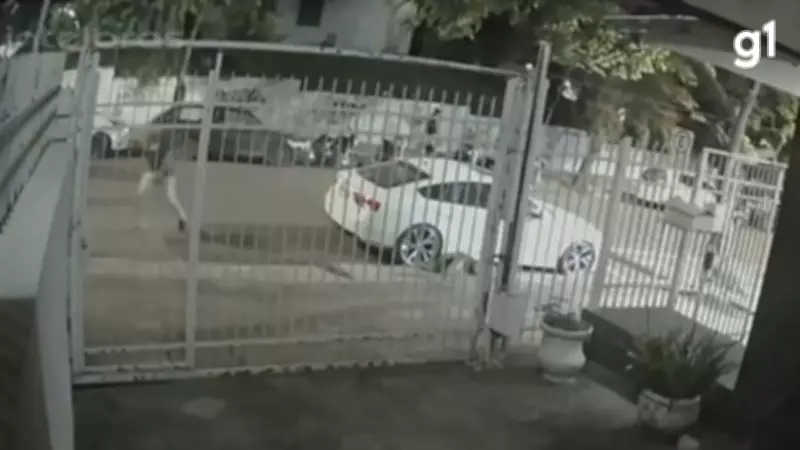 Adolescente de 16 anos é morto por policiais após atirar contra três pessoas em Santa Maria