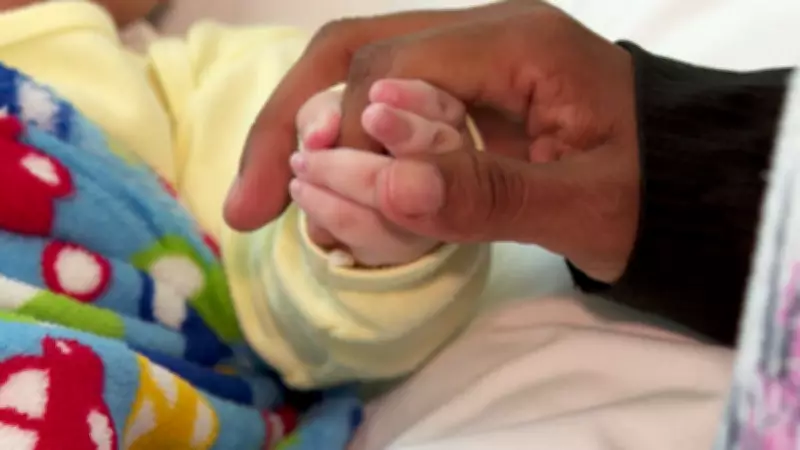 Advogada defende paternidade coercitiva igual à maternidade com nova licença