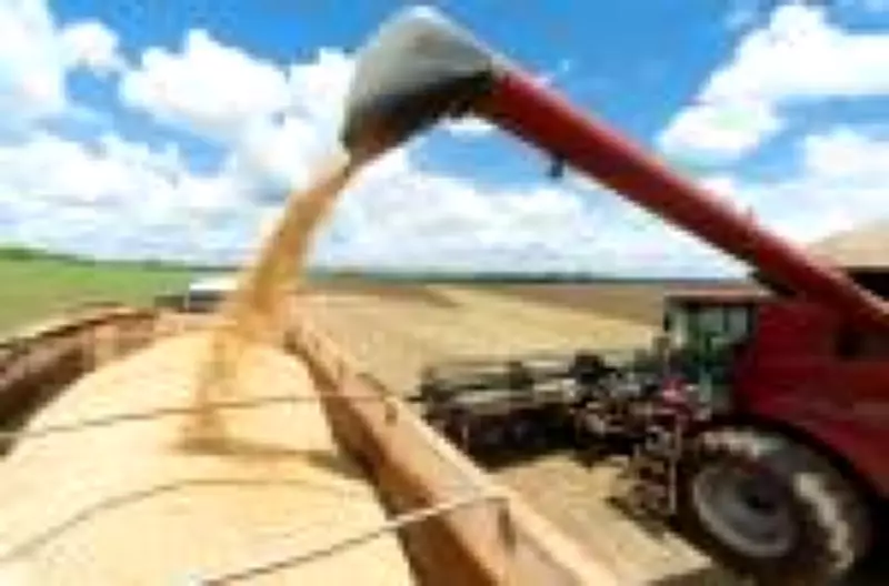 Agronegócio brasileiro enfrenta aperto financeiro com juros altos e queda de preços