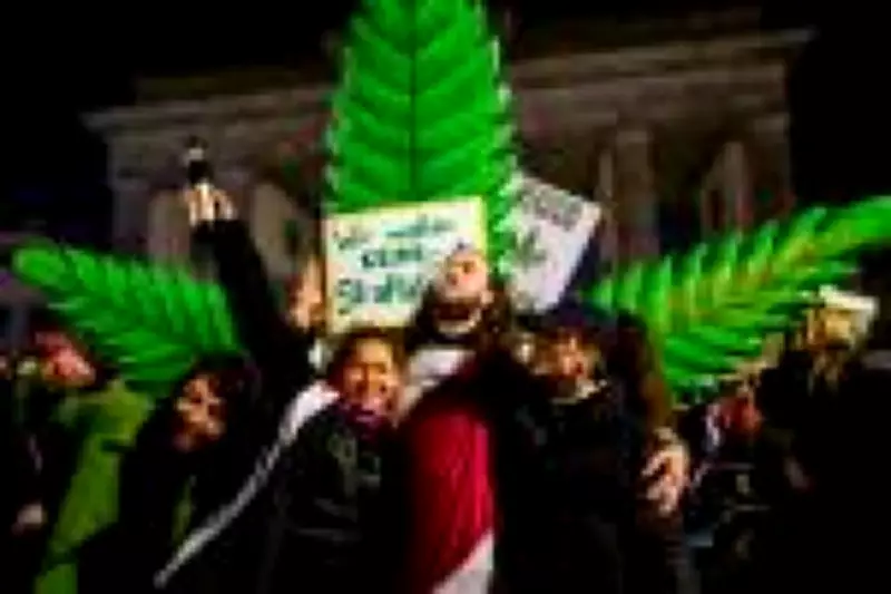 Alemanha lidera mercado europeu de cannabis com modelo híbrido e tecnologia