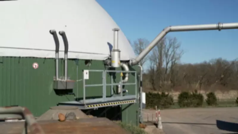 Aliança Biodiesel: Brasil avança para reduzir dependência do diesel importado