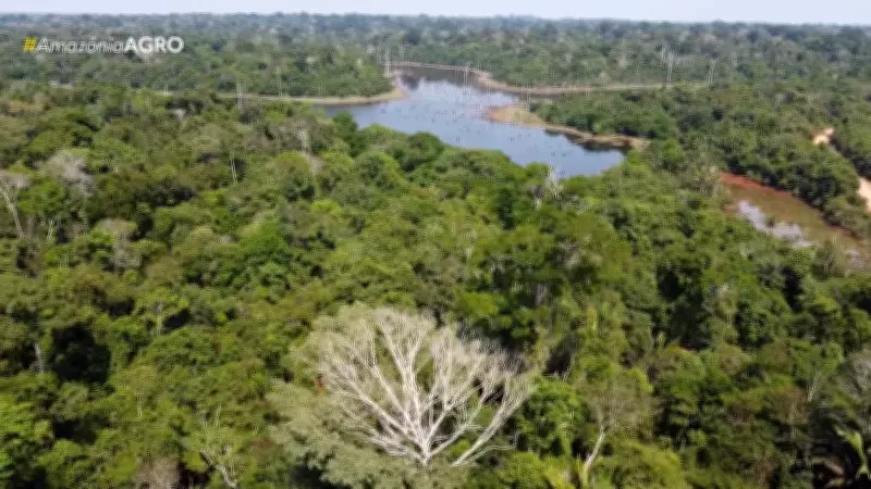 Amazonia Agro: Programa deste domingo destaca inovações no agronegócio amazônico