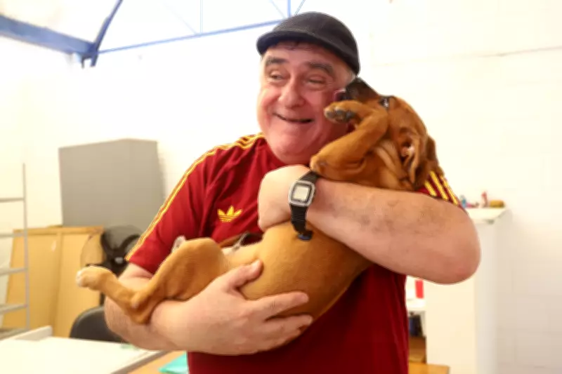 Aposentado que perdeu esposa e pet adota cão caramelo após ver foto na internet