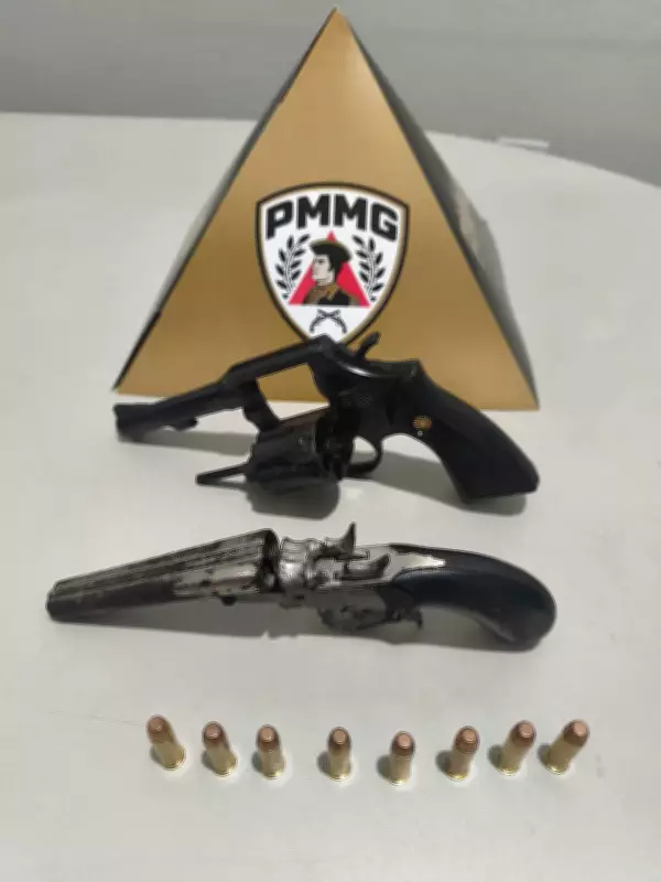 Armas e munições são apreendidas em congelador de bar após ameaça de morte em Rio Pardo de Minas