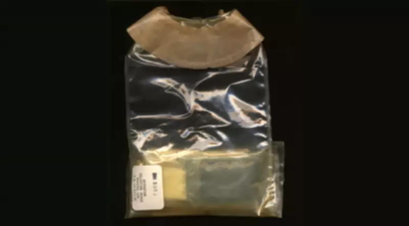 Artemis II: Astronautas enfrentam problema inédito no banheiro da espaçonave lunar