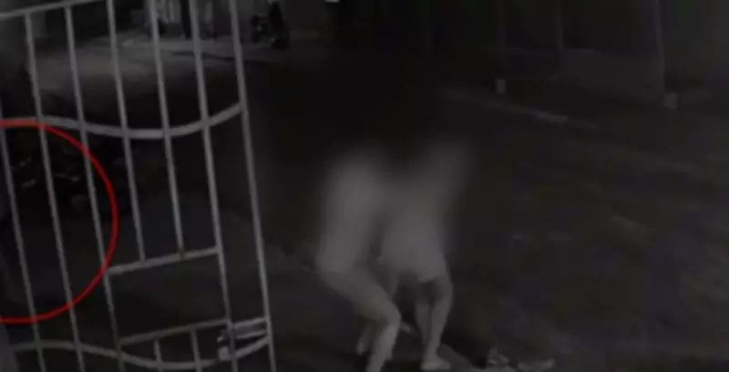 Atentado a tiros em Macaíba deixa advogado e namorada feridos na Grande Natal