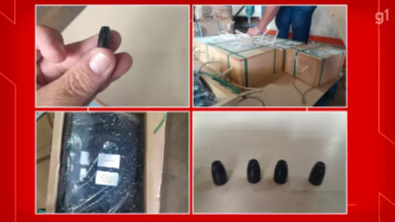 Auditores apreendem meia tonelada de cápsulas de munição no Distrito Federal