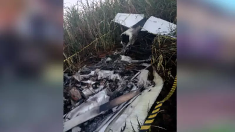 Avião monomotor Cessna cai e piloto morre carbonizado em área rural de Altair (SP)