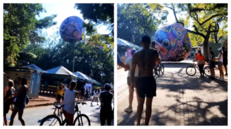 Balão cai dentro do Parque Ibirapuera em São Paulo; prática é crime ambiental