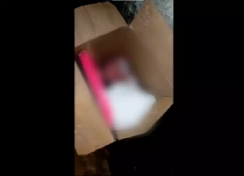 Bebê recém-nascido é abandonado em caixa de papelão em Barra de Guabiraba, PE