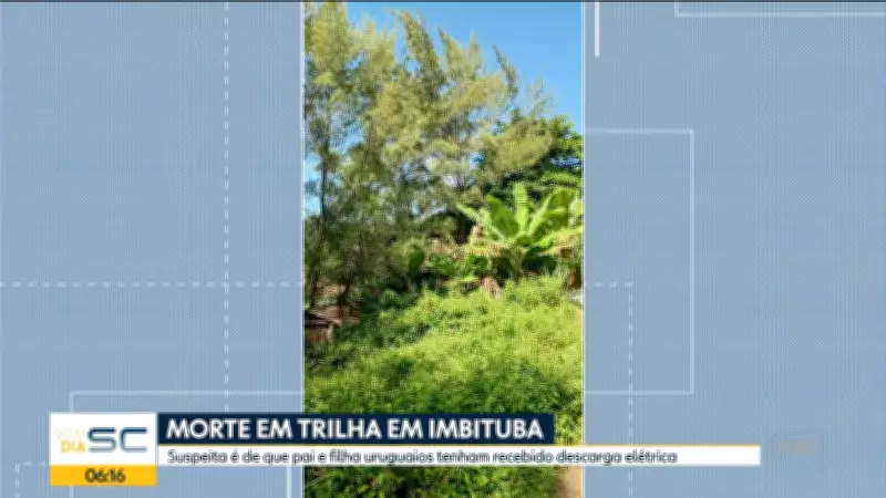 Bom Dia Santa Catarina: Confira os destaques da edição desta quarta-feira, 1º de abril de 2026
