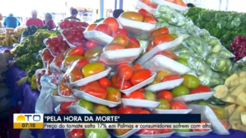 Bom Dia Tocantins: Programação Completa para Segunda-feira, 20 de Abril de 2026