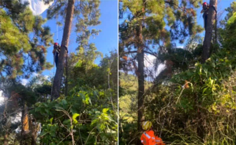 Bombeiros resgatam piloto de parapente preso em árvore após acidente em voo no Sul de Minas