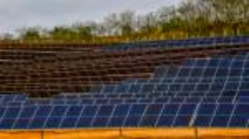 Bow-e aposta em energia barata e IA para expandir base de clientes no mercado livre
