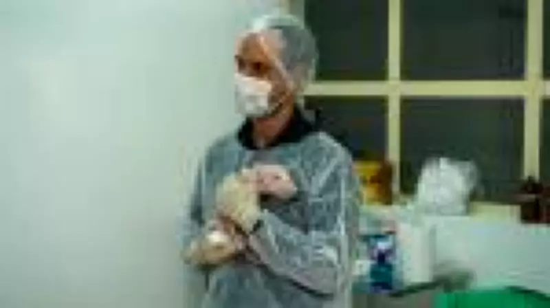 Brasil celebra primeiro porco clonado para transplantes de órgãos