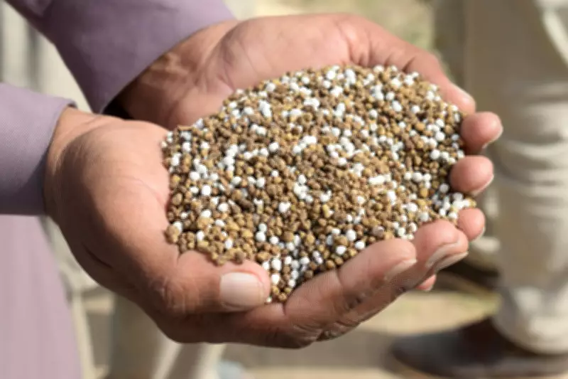 Brasil importa 88% dos fertilizantes e bate recorde em 2025, aponta relatório