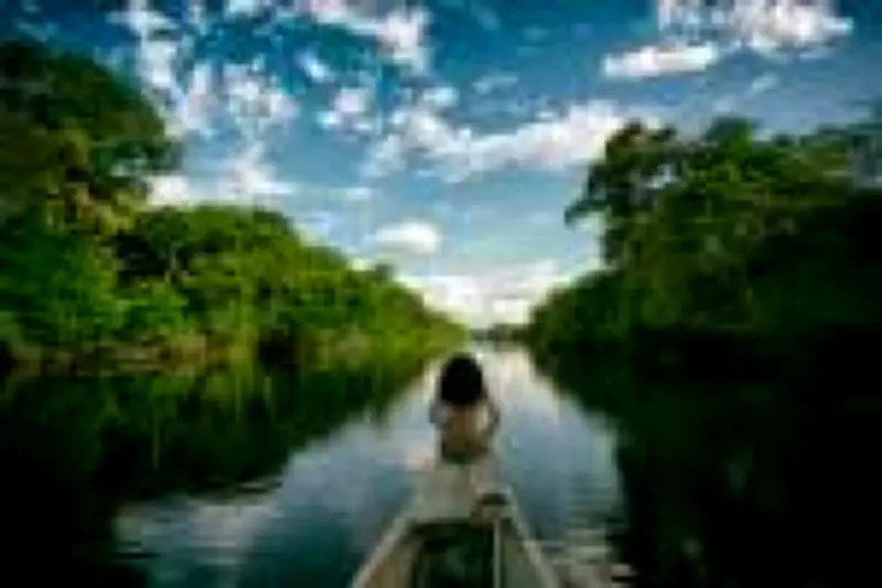 Brasil lidera queda global no desmatamento e reduz perda de floresta em 42%