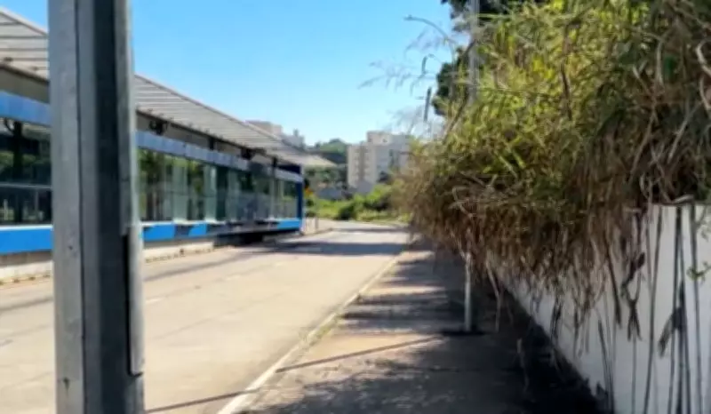 BRT de Campinas acumula 418 reclamações em três anos por falhas e demora nas linhas