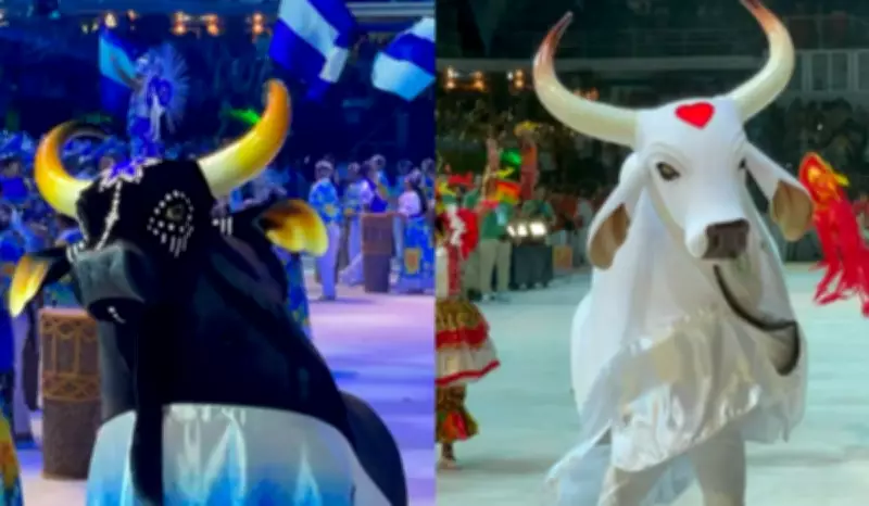 Bumbá Beat estreia no Arena Planeta Boi 2026 com releituras eletrônicas de Caprichoso e Garantido