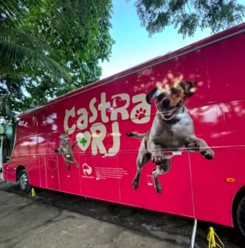 Cabo Frio recebe programa gratuito de castração para cães e gatos até 20 de abril