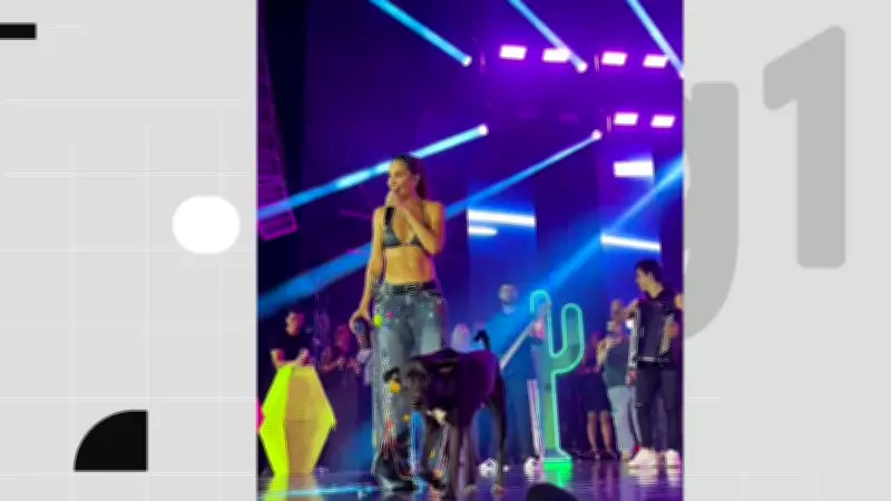Cachorro de rua invade gravação de DVD de forró na Paraíba e é adotado pela cantora Michele Andrade