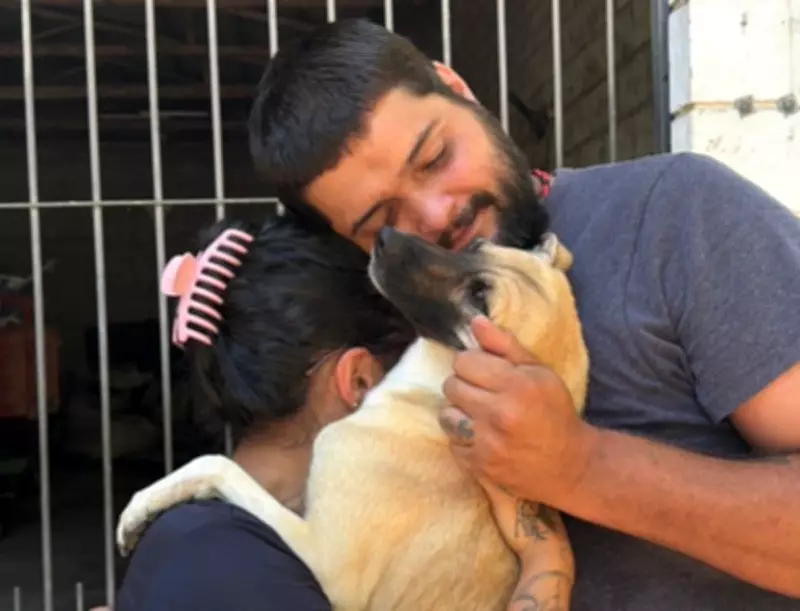 Cachorro desaparecido há 4 meses reencontra tutores em mutirão de castração em SC